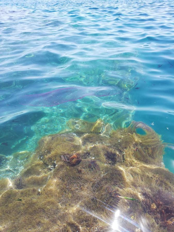 La Veranda Sul Mare Augusta Zewnętrze zdjęcie